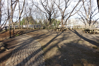 竹山中公園のベンチと広場