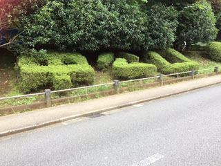 竹山中公園の文字型植木