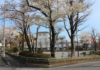 十日市場日向山公園の外観