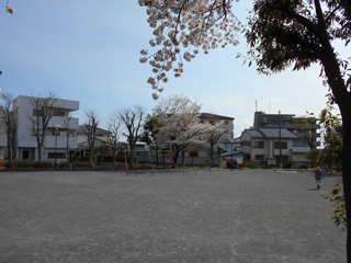 十日市場日向山公園のグラウンド