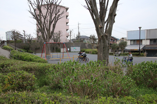 谷津田原公園の植木から見た広場