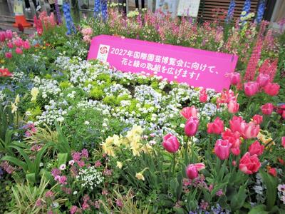 花壇に置かれたプレートの画像「2027年国際園芸博覧会に向けて、花と緑の取組を広げます！」