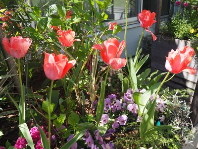 ミドリンGARDEN
