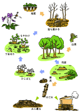 Explanation image of Satoyama