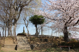 桜の時期の餅塚2