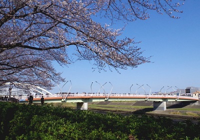 鴨池橋（鴨居の人道橋）の写真