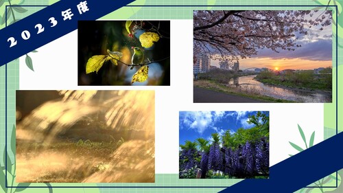 緑区フォトコンテスト2023応募作品