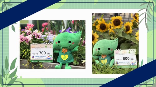 GREEN×EXPO 2027 カウントダウンカレンダー「めくって！カウントダウン」の写真