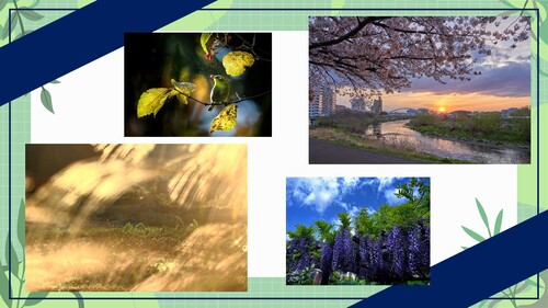 緑区フォトコンテスト2023応募作品