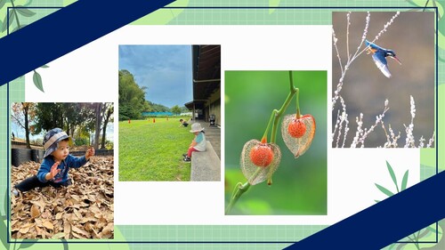 フォトイベント緑区ピックアップ作品