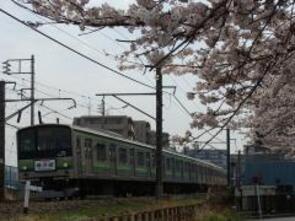 1410-081桜と横浜線