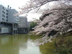 竹山池の桜400