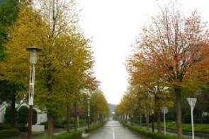 白山ハイテクパークの紅葉