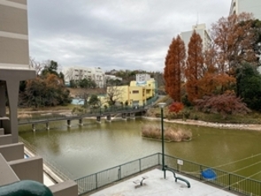 9904_007_竹山池2020年