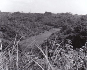 開発前の馬の背&nbsp;