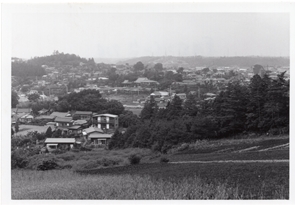 緑のある町の写真