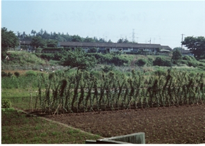 御前田堰跡付近