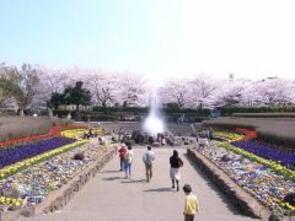 春の四季の森公園