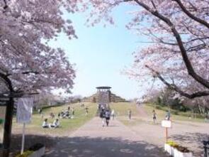 春の四季の森公園広場