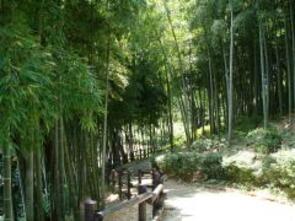 夏の東本郷公園