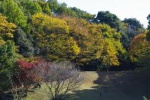 三保念珠坂公園