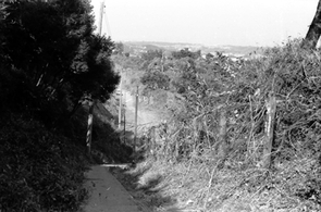 四季の森公園南口