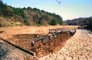 Công viên Shiki no Mori