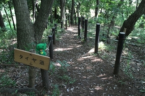 鴨居原市民の森