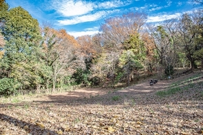 長津田宿市民の森の写真