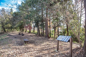 1034-002長津田宿市民の森