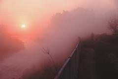 朝霧の朝
