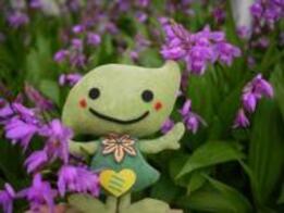 ミドリンとシランの写真