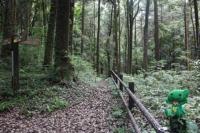 ミドリンと三保市民の森