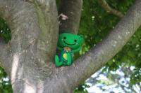 ミドリンと木の写真