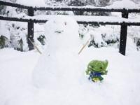 ミドリンと雪だるま