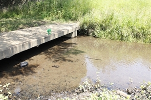 一本橋メダカひろば