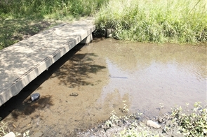 一本橋メダカひろば