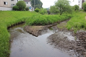 一本橋メダカひろば