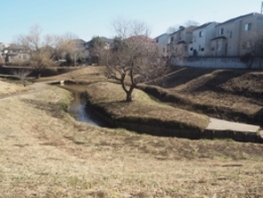 一本橋メダカひろば