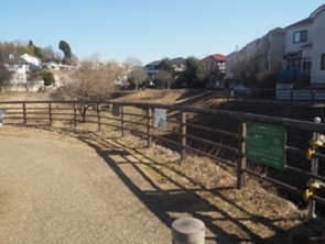 一本橋メダカひろば