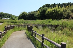 梅田川遊水地