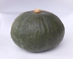 カボチャの写真