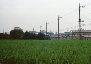 Phía sau ga Nagatsuta