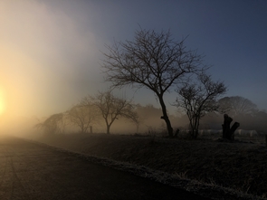 作為P2021_001_身邊的四季(恩田河邊)早晨薄霧