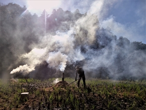 P2021_002_稲作作業の仕舞（終い）