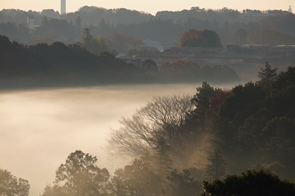 P2021_005_緑区の雲海