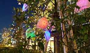 P2021_007_冬空にひかりの果実