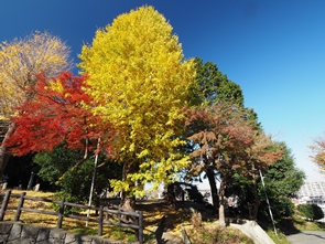 P2021_012_自然・歴史・街並み