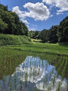 P2021_014_懐かしさ