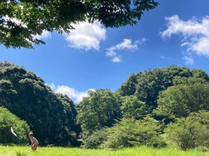 P2021_017_虫取り少年